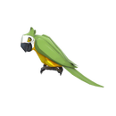 The Bird-Man of Aberdeen