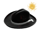 Buckaroo's Hat