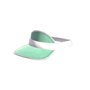 Reissued Dealer's Visor