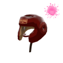 Pugilist's Protector