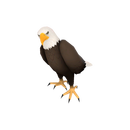 Private Maggot Muncher