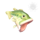 Рыбный день