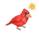 Компаньон кэтчера