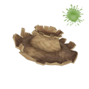 Последняя соломинка