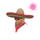 Широкополый бандитто