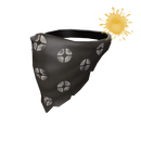 The Bruiser's Bandanna