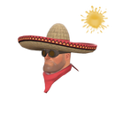 Широкополый бандитто