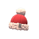 Professional's Pom Pom