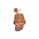 Горшкоголовый