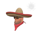 Широкополый бандитто