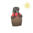 The Pocket Pyro