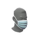 Particulate Protector