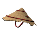 Гонконгская шляпа