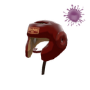 Pugilist's Protector