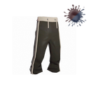 The Breakneck Baggies