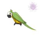 The Bird-Man of Aberdeen