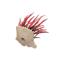 The Mask of the Shaman