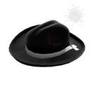 Unusual Buckaroo's Hat