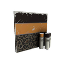 Masked Mender Mk.II War Paint (Minimal Wear)