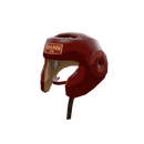 Pugilist's Protector