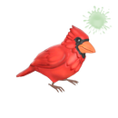 Strange Catcher's Companion