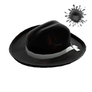 Unusual Buckaroo's Hat