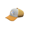 Поддержка атлета