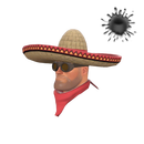 Широкополый бандитто