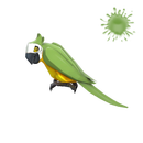 The Bird-Man of Aberdeen