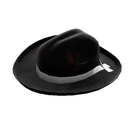 Buckaroo's Hat