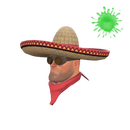 Широкополый бандитто