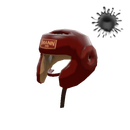 Pugilist's Protector