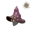 Звёздный заклинатель