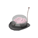 Haunted Hyperbaric Bowler