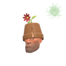 Горшкоголовый странного типа