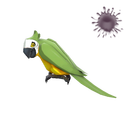 The Bird-Man of Aberdeen