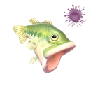 Рыбный день