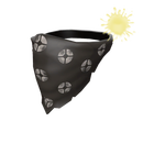 The Bruiser's Bandanna