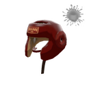 Pugilist's Protector