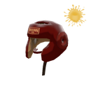 Pugilist's Protector