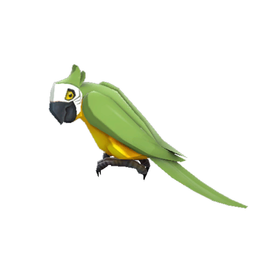 The Bird-Man of Aberdeen