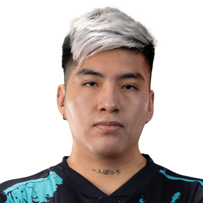 Голографическая Наклейка игрока: XstiNgerX | TI 2022