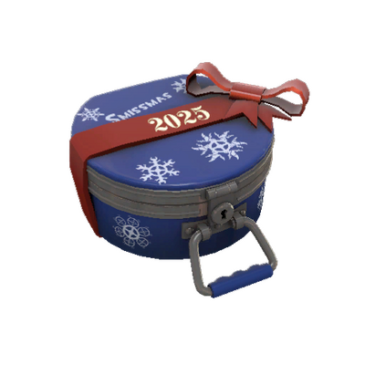 Winter 2025 Cosmetic Case