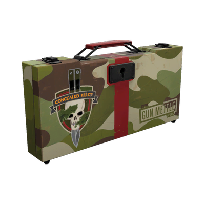 The Concealed Killer Weapons Case