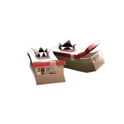 The Shoestring Budget