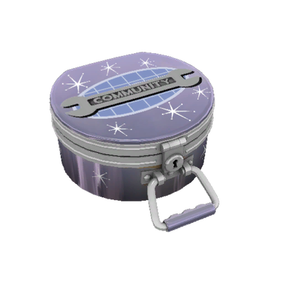 Rainy Day Cosmetic Case