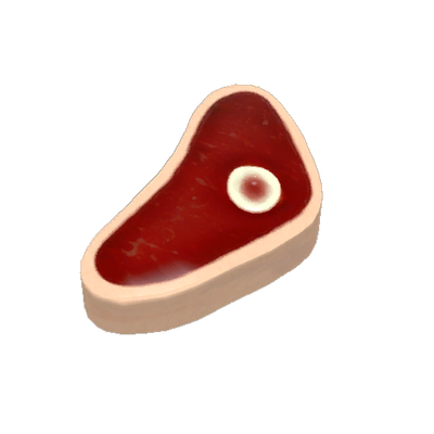 The Buffalo Steak Sandvich