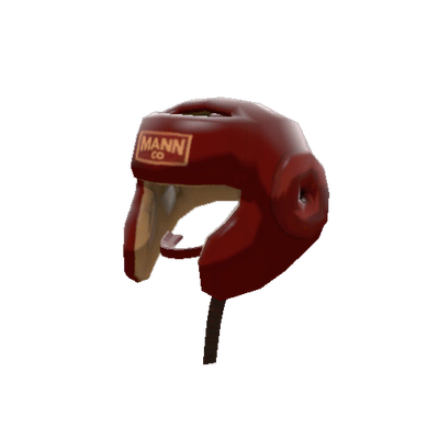 Pugilist's Protector