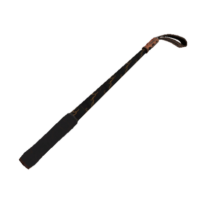 Sunriser Disciplinary Action (Field-Tested)