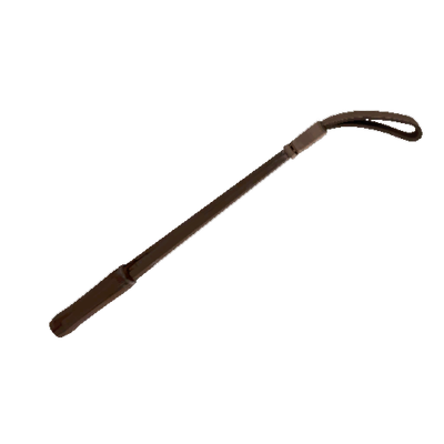 The Disciplinary Action